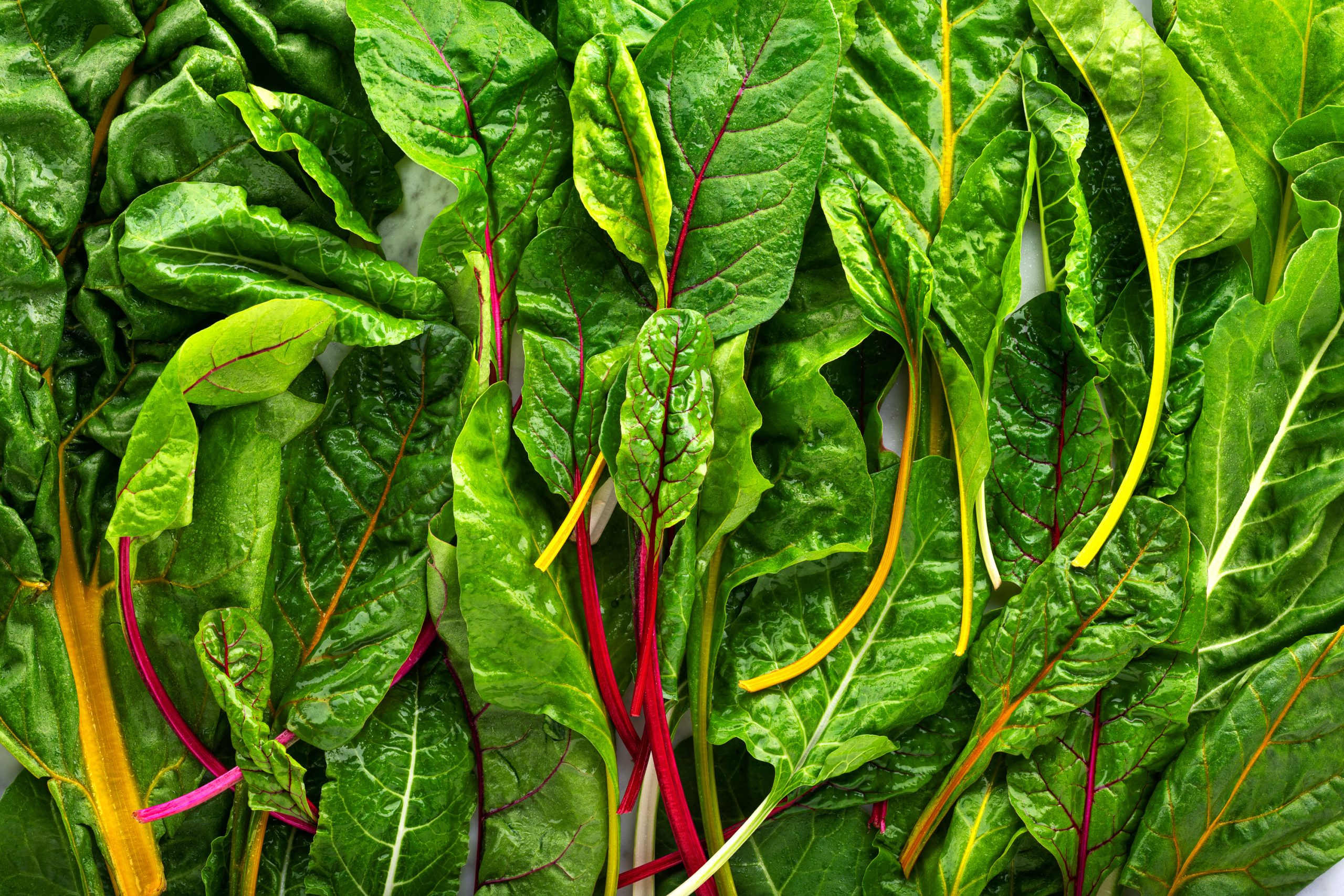 Assorment of edable leaves